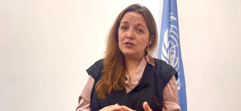 relatora especial de las naciones unidas sobre los derechos a la libertad de reunion pacifica y de asociacion gina romero