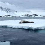 antartida glaciares