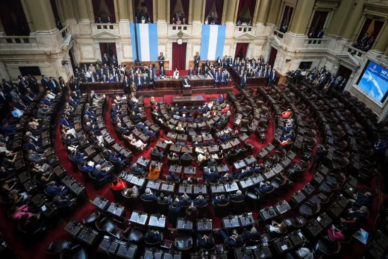 camara de diputados de argentina