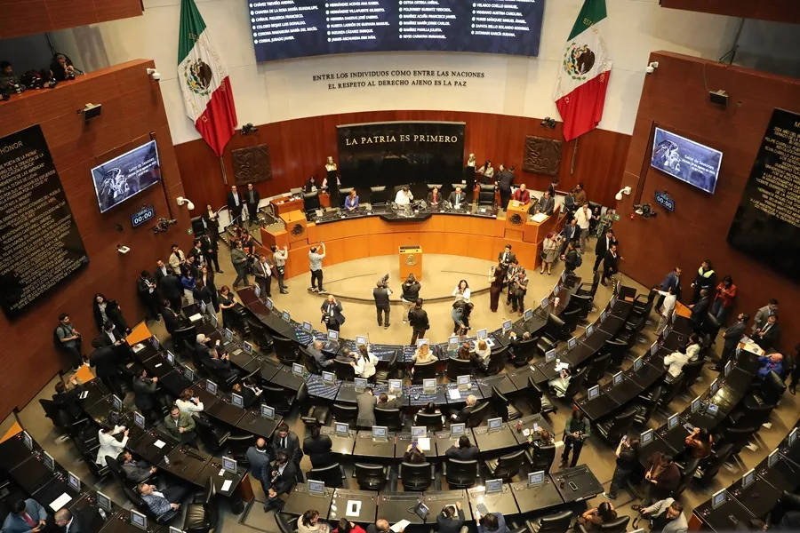 camara de diputados de