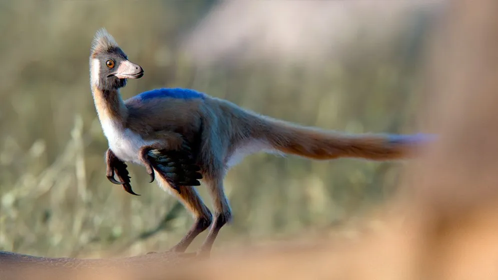 dino