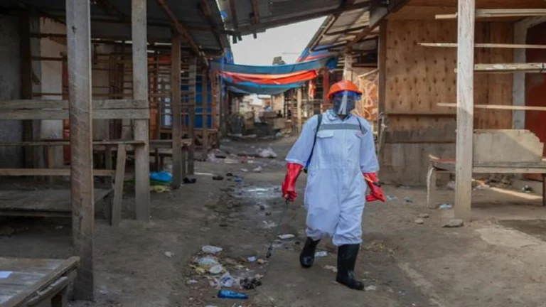 ebola