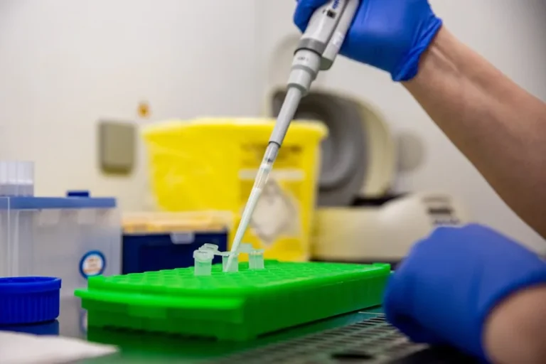 hantavirus pcr