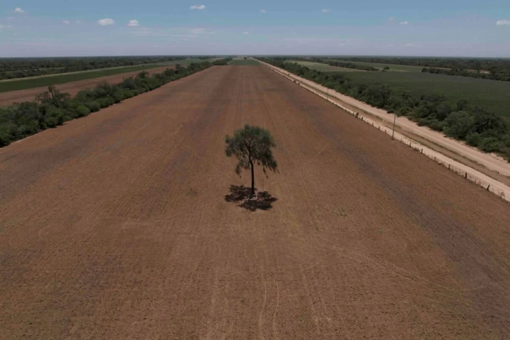 las sombras se extinguen en buena parte del chaco cruceno scaled e1716481550269 1200x800 1
