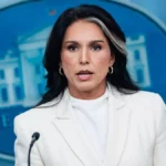 tulsi gabbard foto efe