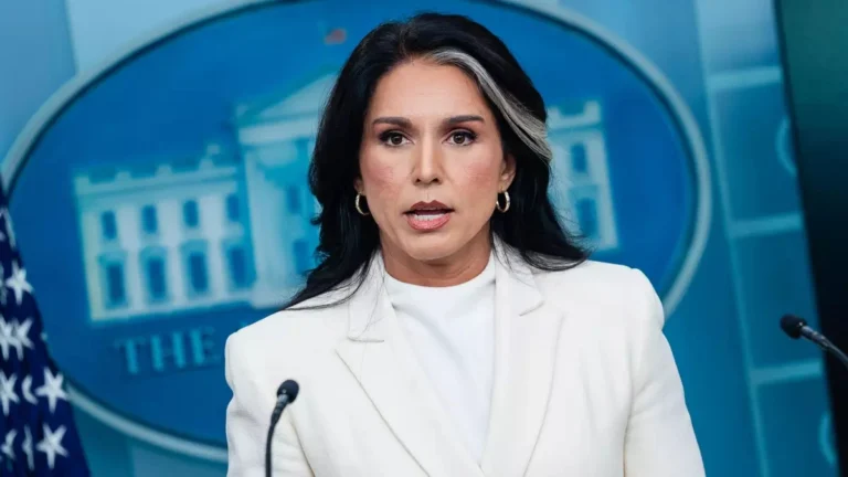 tulsi gabbard foto efe