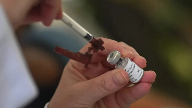 ame7485 brasil dengue