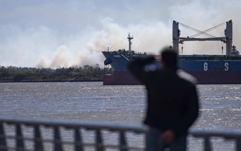 argentina hidrovia rio parana foto efe 1