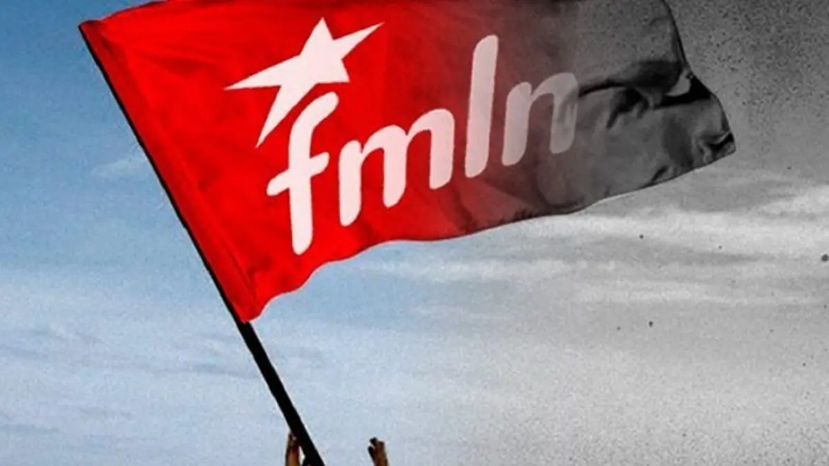 fmln 1.jpg