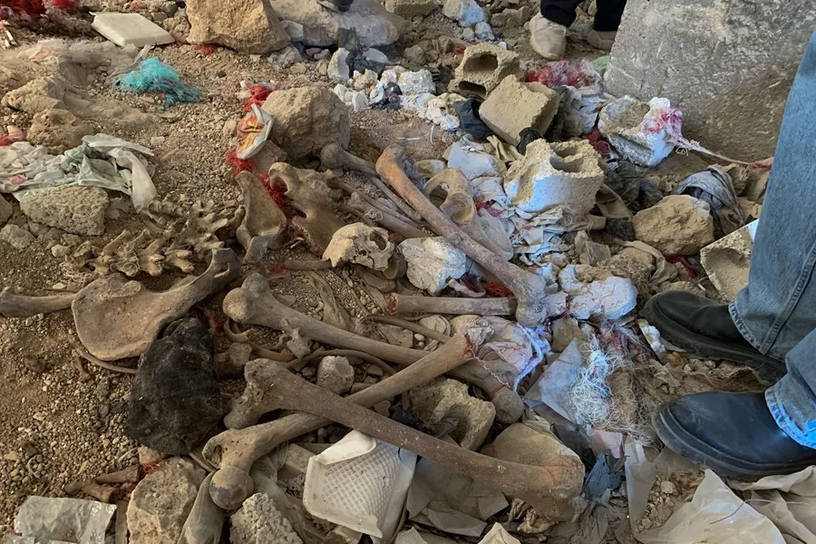 siria al tadamon fosas