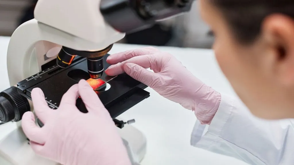 Justicia de la salud global: cooperación de los países BRICS en la producción de tecnologías médicas 3