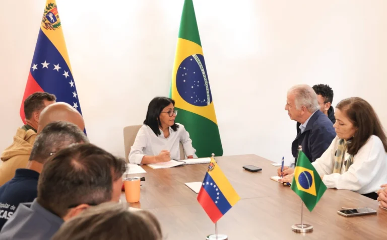venezuela presidenta encargada delcy rodriguez reunion ministro defensa brasil 1