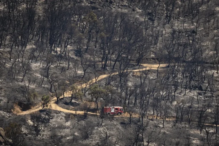 bruselas pide actuar rapido ante una temporada de incendios que empezo inusualmente pronto