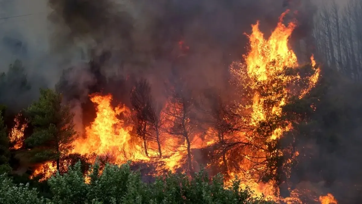 canada incendios1.jpg