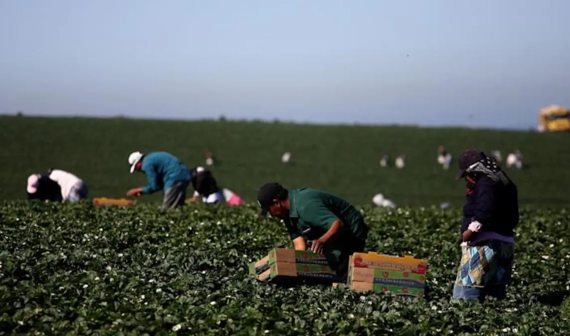 chile agricultura foto efe 1.jpg