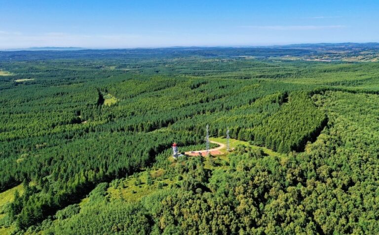china plan cobertura forestal 2030