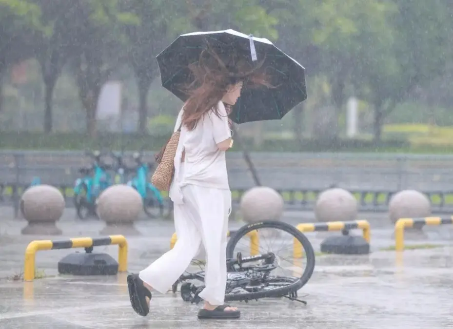 china tifon bavi foto xinhua 1.jpg