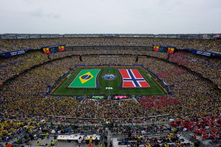 mundial cesped 77693