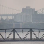 ny humo