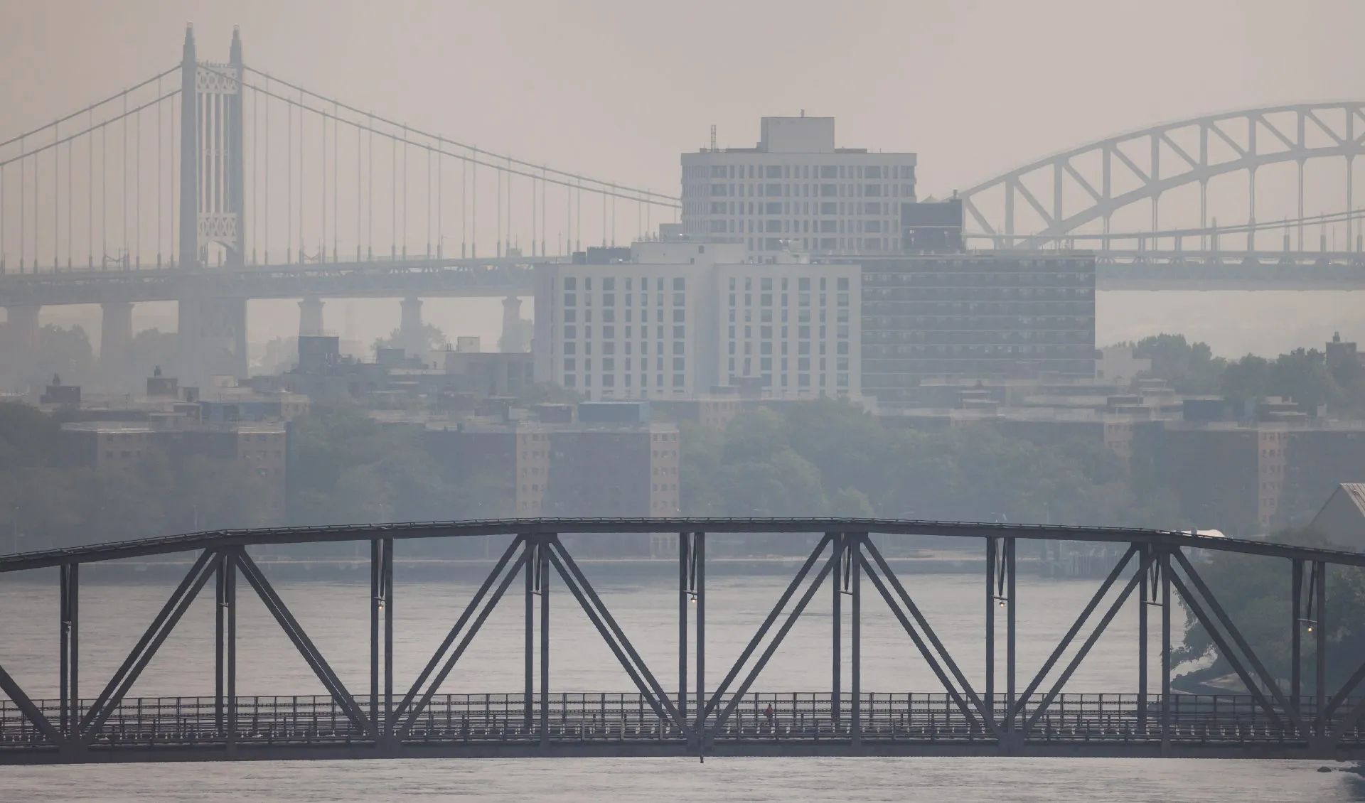 ny humo
