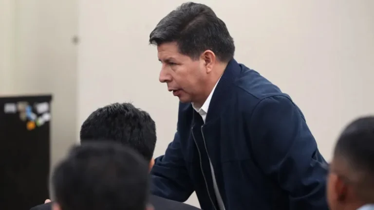 pedro castillo onu