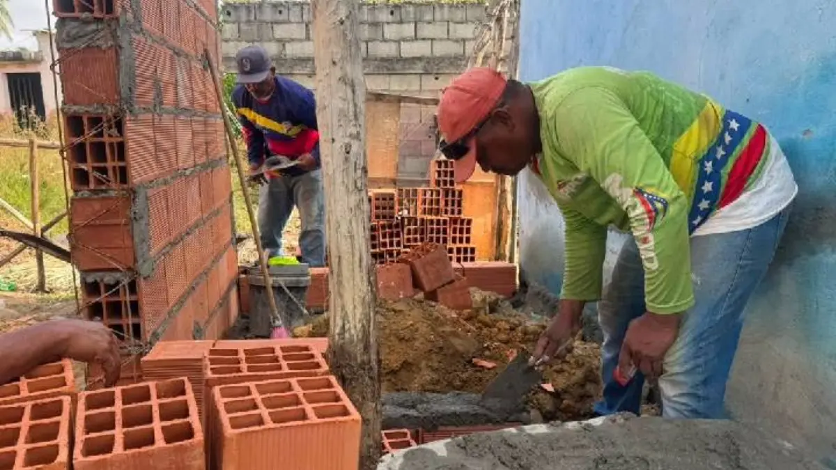 proyecto nuevo 47 1 1.jpg