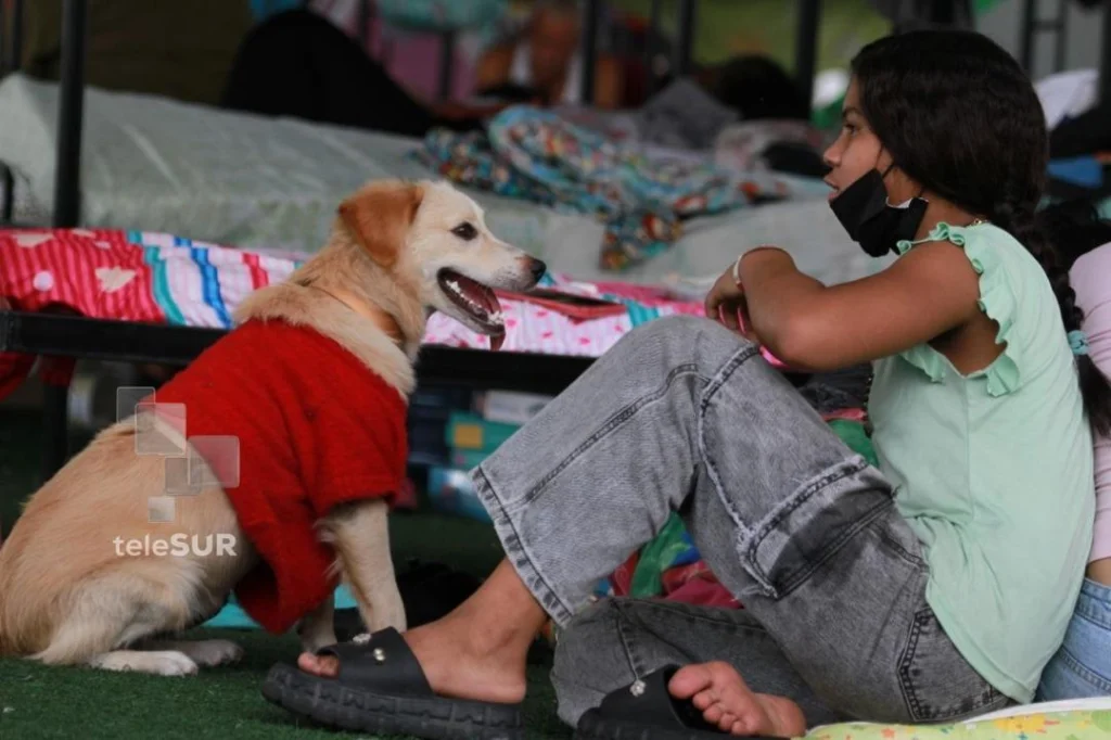 Venezuela consolida campamentos transitorios para resguardar a damnificados por terremotos 4 venezuela campamentos transitorios foto telesur