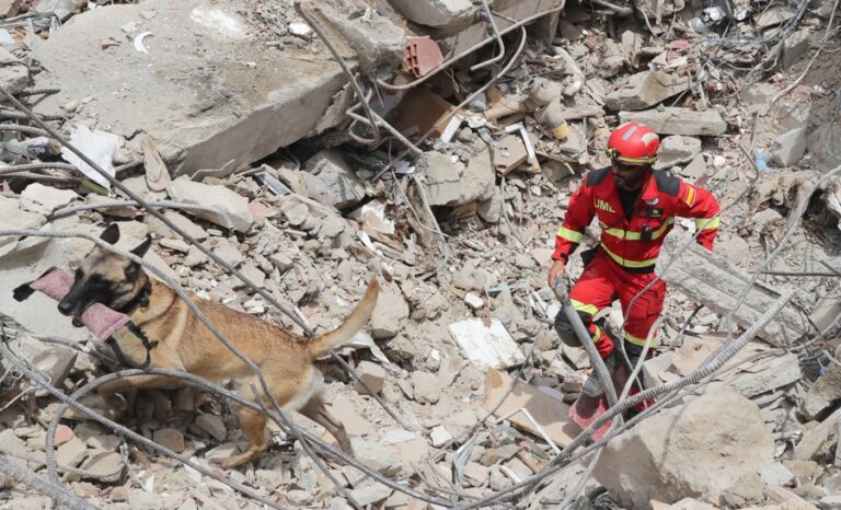venezuela rescates equipos usar unidades caninas foto efe 1