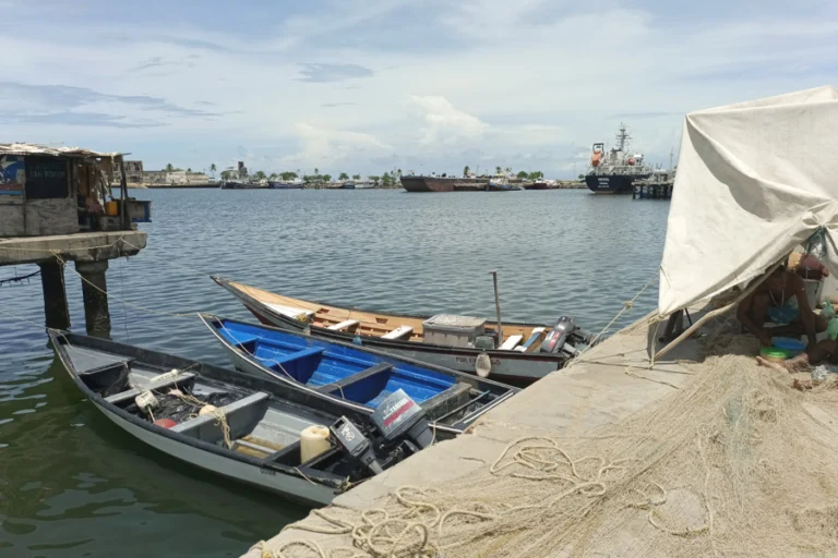botes atracados