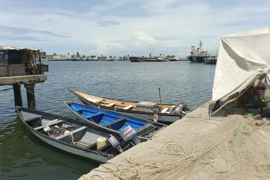 botes atracados.jpg