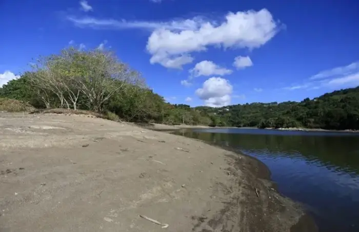 captura de pantalla 2026 08 08 122000.jpg