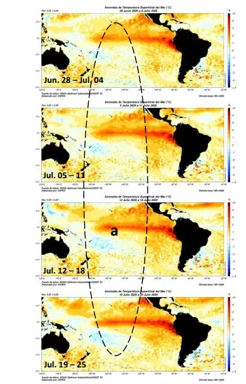 El Niño se fortalece en el Pacífico y proyectan pico de máxima intensidad a fines de 2026 3 captura de pantalla 2026 08 20 141217.jpg