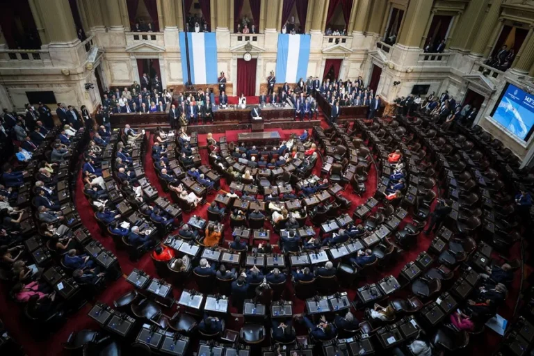congreso argentina rechazo decretos milei 1