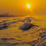 mar sol botes omm onu 2026