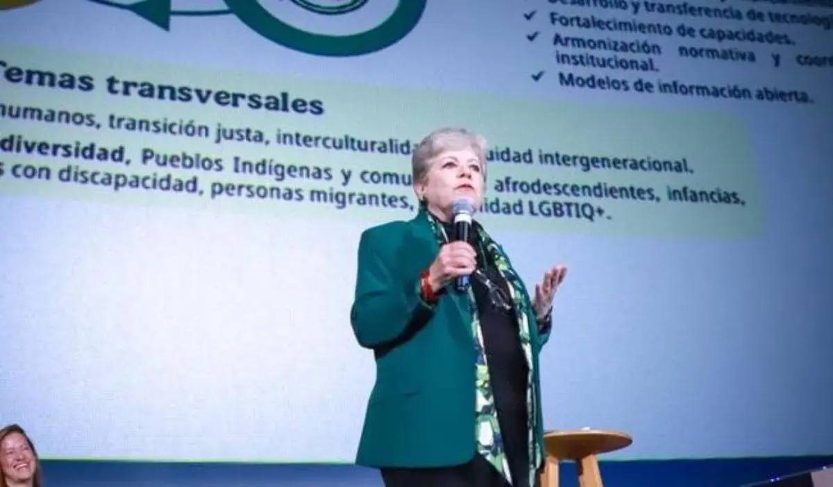 mexico ambientewp.jpg
