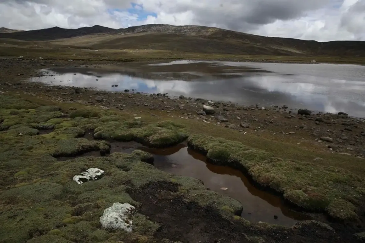 peru eleva prevision intensidad el nino.jpg