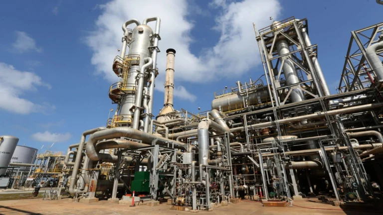 petroquimica venezuela 2026