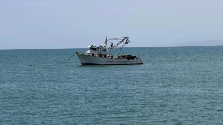 barco pesquero manabi pichincha 26