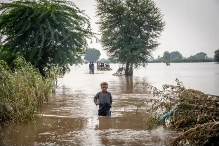 UNICEF alerta: 26 millones de niños expuestos a El Niño en América Latina 2 efecto del cambio climatico en los ninos.jpg
