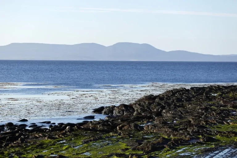 estrecho magallanes