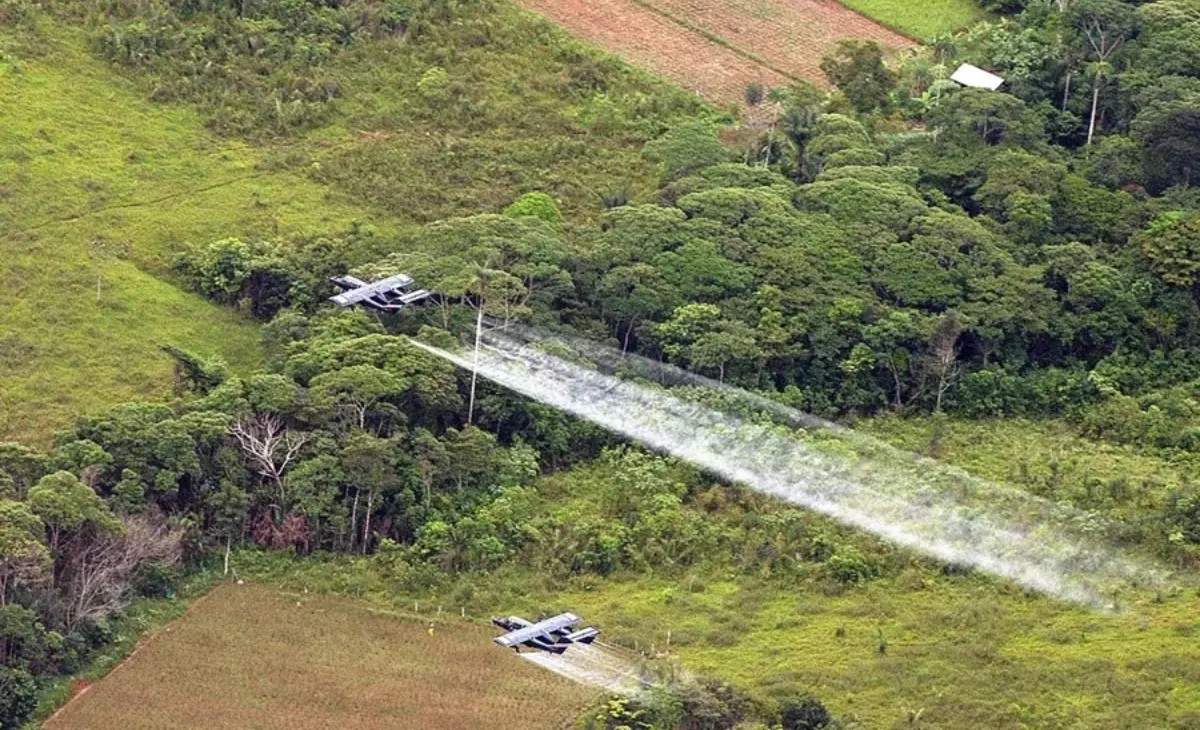 fumigacion cultivos coca glifosato.jpg