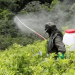 glifosato colombia
