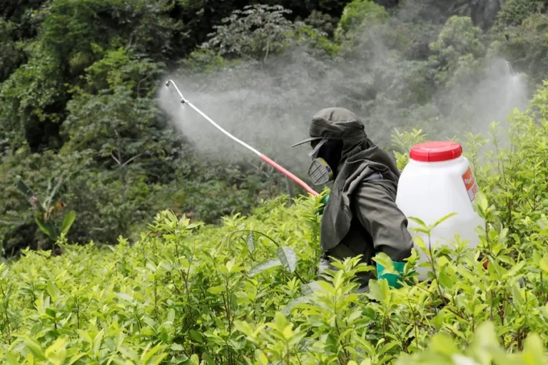 glifosato colombia