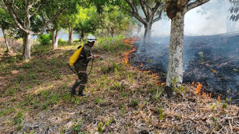 incendios forestales tolima ungrd sept2026