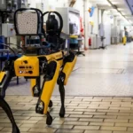 perro robot operativos ice
