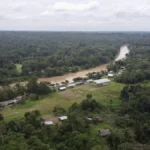 yasuni