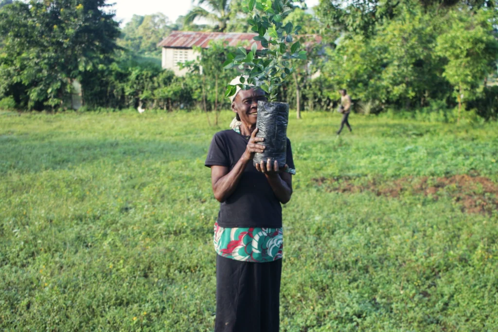 Pilar invisible de la sociedad haitiana, las mujeres del campo reclaman derechos y reconocimiento 4 1 haiti mujeres campesinas
