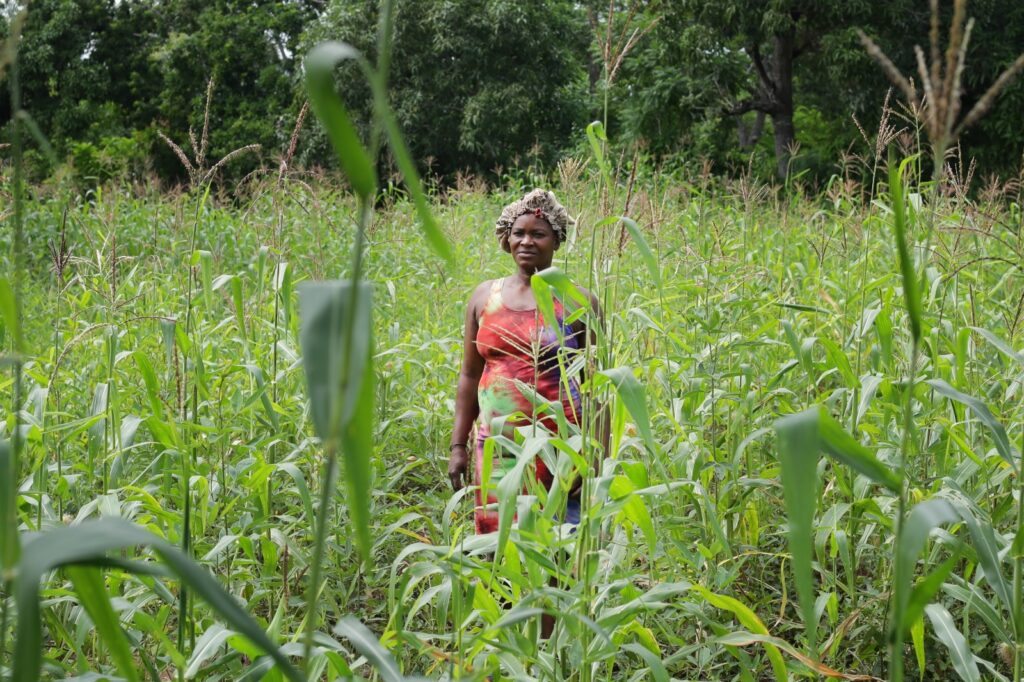 Pilar invisible de la sociedad haitiana, las mujeres del campo reclaman derechos y reconocimiento 3 2 haiti mujeres campesinas