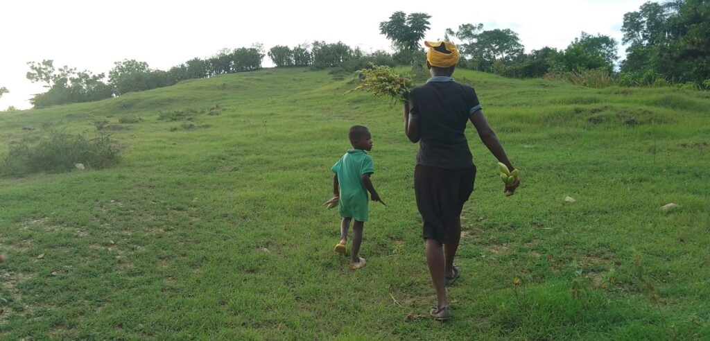 Pilar invisible de la sociedad haitiana, las mujeres del campo reclaman derechos y reconocimiento 5 4 haiti mujeres campesinas 1