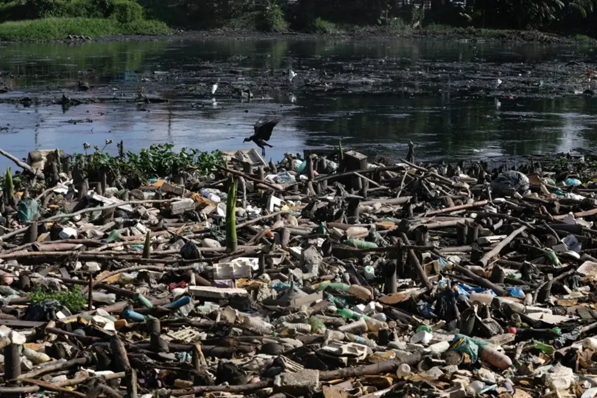 amazonia basura.jpg